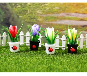 Miniatura di tulipano bonsai con coccinella su prato davanti a una staccionata bianca