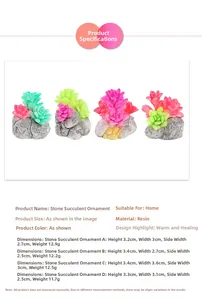 Miniature resin succulent and stone figurines with detailed dimensions for terrariums