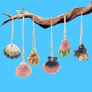 Set of 6 colorful resin shell hanging ornaments with jute ropes on a wooden branch