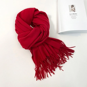Detailed close-up of a red knit scarf featuring long fringe tassels on white background