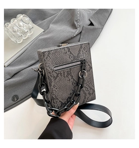 Detail of grey snakeskin crossbody bag with silver hardware and acrylic chain handle