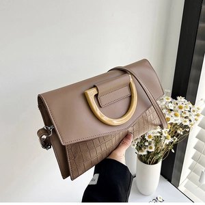 Detail of brown crocodile pattern handbag with resin handle and silver metal buckle
