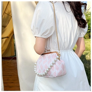 Detail of vintage knit crossbody bag with pearl handle and metal clasp in a scenic park