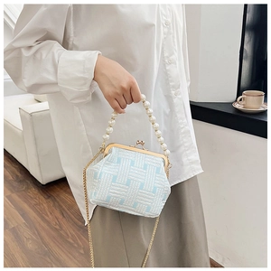 Detail of blue and white woven handbag with pearl handle and golden metal clasp