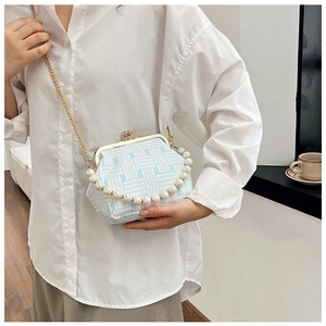 Close-up of blue and white woven handbag featuring elegant pearl handle and gold chain
