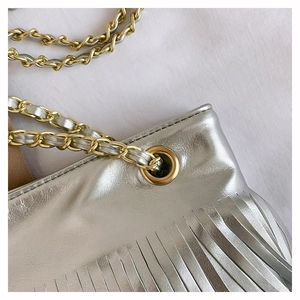 Détails de sac argenté à franges avec chaîne tressée dorée et texture métallique fine