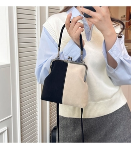 Detail der Vintage-Tasche mit Farbmuster, Metallrahmen und Wildleder-Textur-Finish