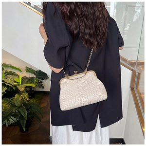 Elegant straw frame bag with metal chain strap shown on model in a modern setting