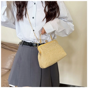 Detail showing the vintage metal frame, spherical clasp and golden chain on woven bag