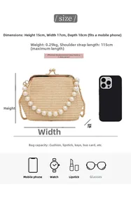 Spécifications de taille pour un sac tissé beige avec poignée en perles et fermoir en métal