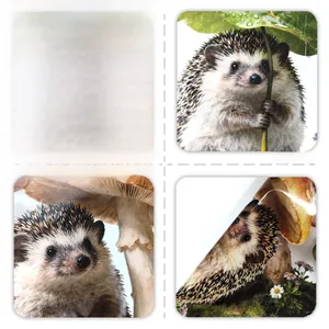 Detailed view of double-sided hedgehog wall decals with vibrant original illustrations