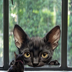 Realistische 3D zwarte kat raamsticker met gele ogen die door het glas gluren