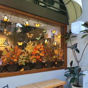 Detail of autumn window stickers with maple leaves and butterflies on glass