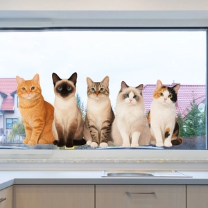 Window static stickers featuring five realistic cat designs in a cozy kitchen setting