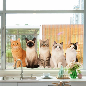 Detail of five realistic 3D cat window static stickers on a bright kitchen glass window