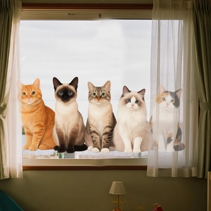 Realistic cat window clings with five different breeds on glass with white curtain background