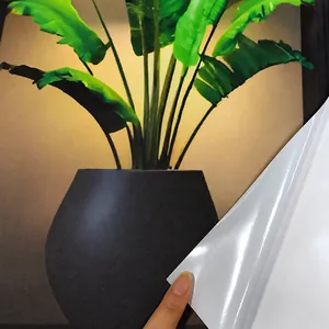 Detail showing self-adhesive wall sticker with no white edges for a seamless plant design
