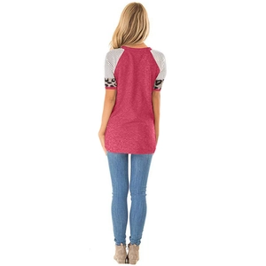 Women's pink leopard print patchwork t-shirt with striped raglan sleeves seen from back