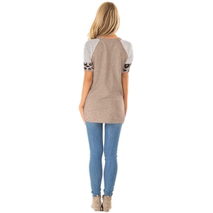 Back view of a color block t-shirt with striped raglan sleeves and leopard print cuffs