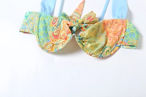Detail of multi-color paisley print bikini top with underwire and blue straps