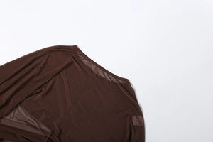 Detail of sheer brown mesh fabric showing crew neck stitching and size S label