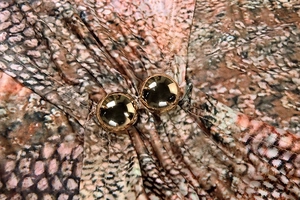 Dettaglio dell'abito con stampa serpente, eleganti bottoni dorati e pieghe raffinate