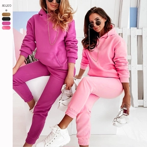 Damen Casual Einfarbig Kapuze Trainingsanzug Herbst Winter Langarm Hoodie Und Hose Jogging Sweatpants Locker Lounge Wear Anzüge
