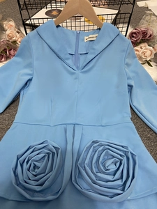 Détail de la robe bleu clair montrant les roses en relief et le zip invisible au dos