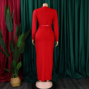 Detail of red long sleeve dress featuring hidden back zipper and thin matching waist belt