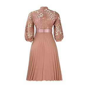 Detail of elegant hollow lace pattern and lantern sleeves on a pink pleated dress