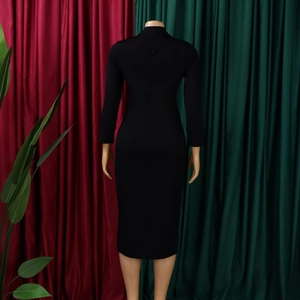 Rückansicht eines langärmeligen schwarzen Bodycon-Kleides mit Stehkragen und Reißverschluss