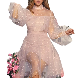 Detail of champagne mesh dress featuring sheer polka dot sleeves and elegant high waist cut