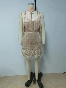 Detail of champagne gold sequins, fringe tassels and feather trim on V-neck dress
