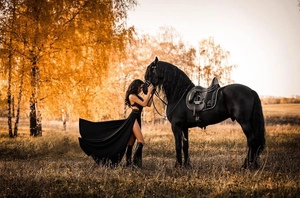 Elegant black halter backless high slit dress and black horse in autumn forest
