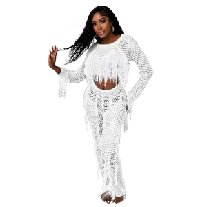 Close-up of white crochet two-piece set featuring long-sleeve fringe crop top and mesh pants