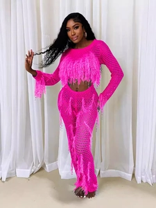 Women Sexy Crochet Hollow Out Top And Bottom Long Sleeve Crop Top Fringe Flare Pants Faux Mink Feather Tassel Party Outfits