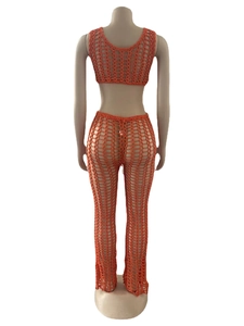 Rear view of crochet two-piece set featuring hollow mesh crop top and wide leg pants