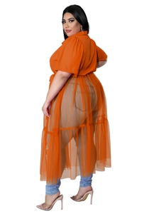 Detail of plus size orange chiffon mesh layered dress with button-up collar design
