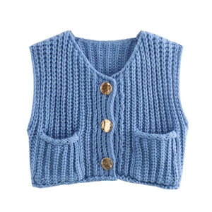 Detail of sky blue knit vest featuring V-neckline and ornate gold embossed metal buttons