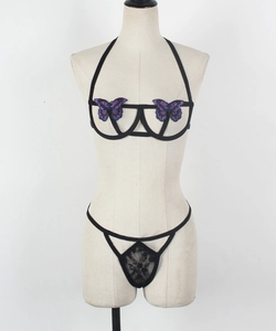 Detail of lace floral embroidery and purple butterfly pattern on sexy lingerie set