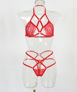 Detail of red floral lace lingerie set with halter neck bra and strappy geometric harness
