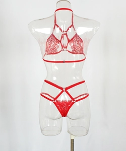 Detail of red floral lace bra set with halter neck and strappy geometric design