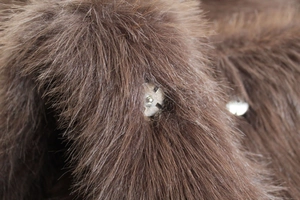 Dettaglio macro della pelliccia sintetica marrone con finitura lucida e bottone a pressione