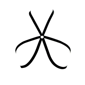 Detailed view of black elastic body harness with central metal ring and symmetric straps