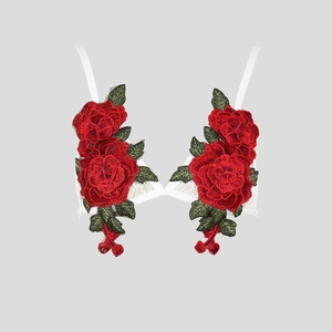 Close-up of intricate red rose embroidery and green leaves on white lace bra cups