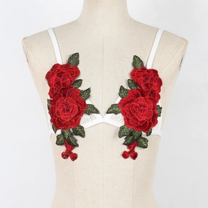 Close-up of white lace bra featuring intricate red rose embroidery and green leaves