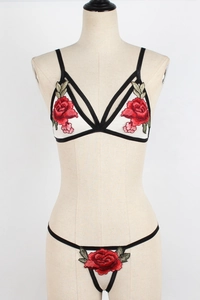 Detailed close-up of white mesh lingerie with vibrant red rose floral embroidery