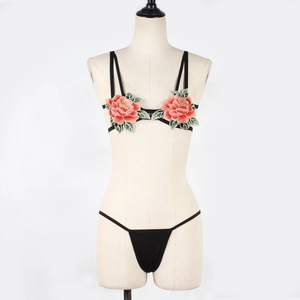 Detail view of lingerie set featuring red floral embroidery and black elastic straps