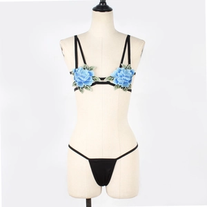 Detailed front view of black lingerie set with intricate blue floral embroidery on mannequin