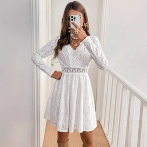 Elegant white lace long sleeve mini dress with V-neck and broderie anglaise embroidery